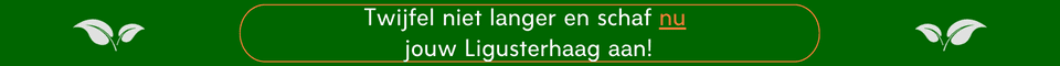 Liguster kopen | Liguster online kopen | Gardline